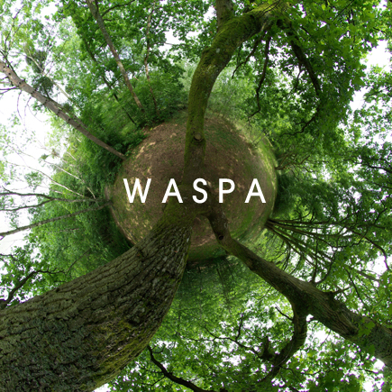 bruno gauthier waspa sleeve/artwork