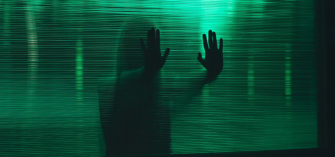 bruno gauthier socialis-ol-ation sleeve photo 1